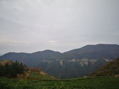 -东白山