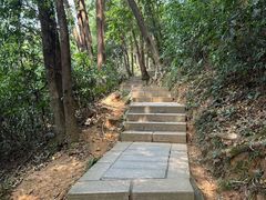 -梧桐山风景名胜区