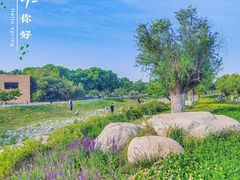 -汉长安城未央宫国家考古遗址公园