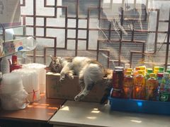 -忆秦园小笼包(惠山古镇总店)