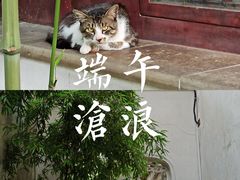 -沧浪亭