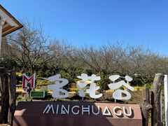 -名花谷生态庄园