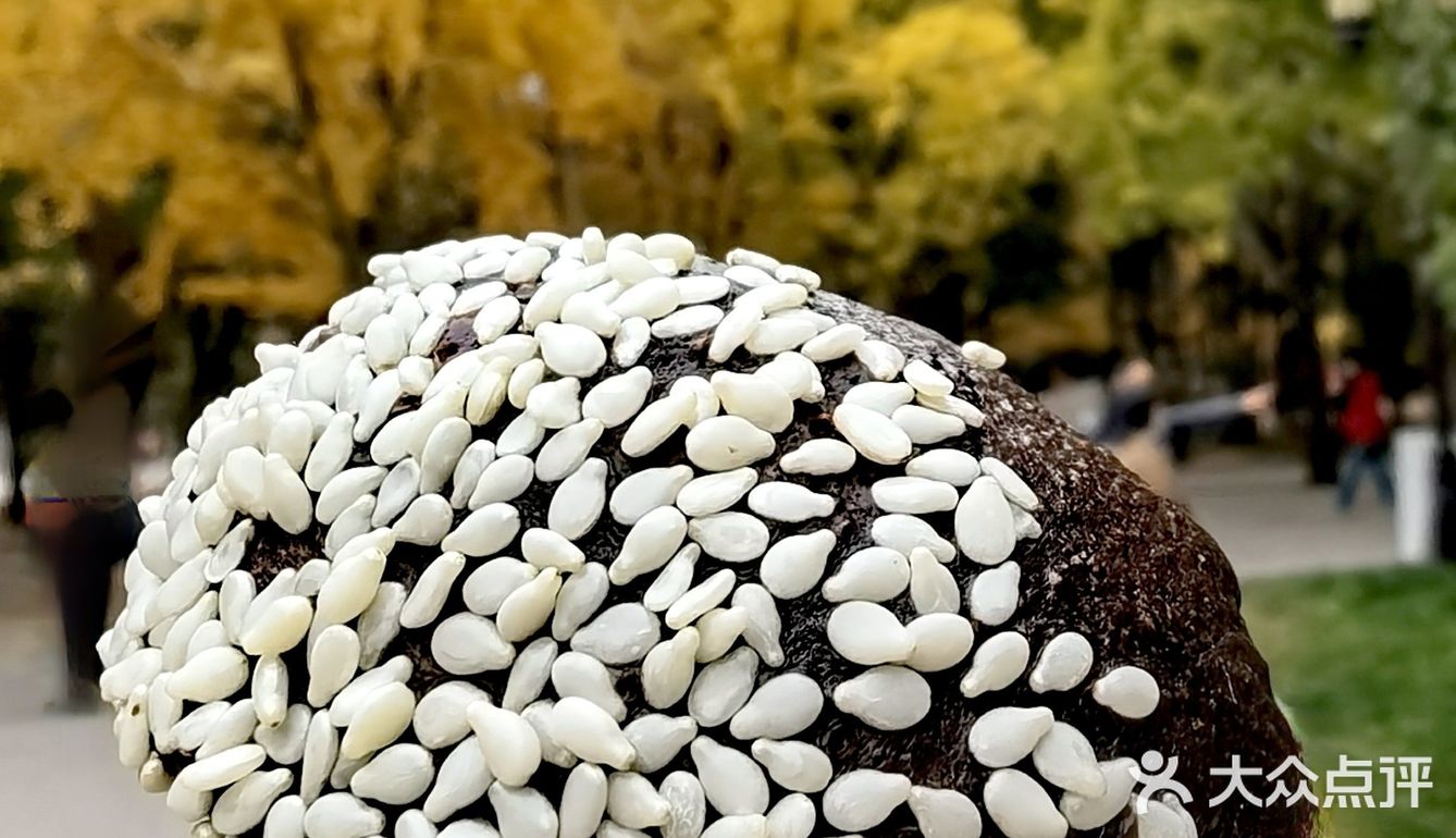 可可爱爱的巧克栗🌰