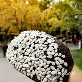 可可爱爱的巧克栗🌰