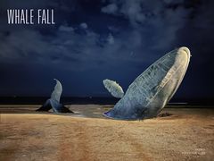 -烟台金沙滩海滨公园