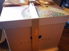 -BLACKSWAN黑天鹅(环球店)
