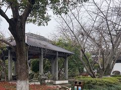 -东山雕花楼