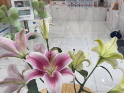 -靓芙泉祛痘.科技美肤连锁