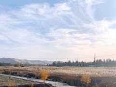 -党河风情线国家水利风景区