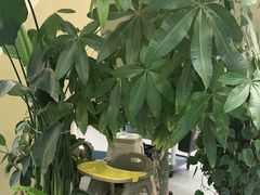 -七欣天香辣蟹火锅(南京桥北太平店)