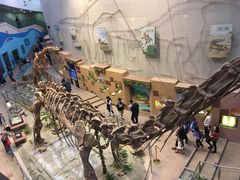 -陕西自然博物馆