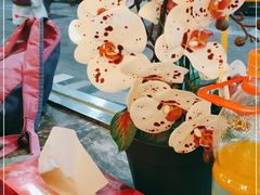 -玉林烤鸭店(垡头店)