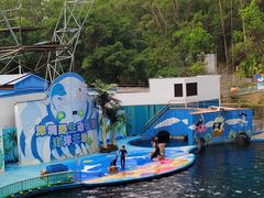 -深圳野生动物园