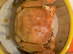 大闸蟹-天豪大酒店·爱琴海自助餐厅