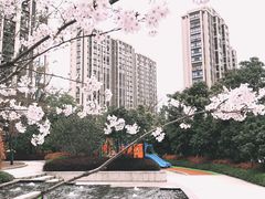 -欢乐海岸
