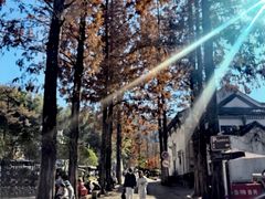 -九华山风景区