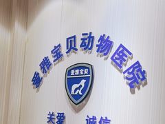 -中农大我爱我爱24h动物医院·中医针灸·猫专科·骨科医疗中心(双井店)