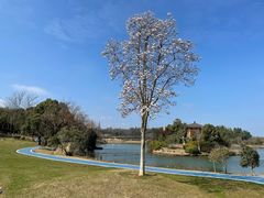 -宜兴龙背山森林公园