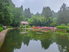 -庐山风景区花径公园