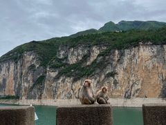 -白帝城·瞿塘峡景区
