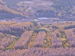 -帽儿山国家森林公园