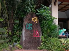 -呀诺达热带雨林