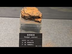 -甘肃地质博物馆