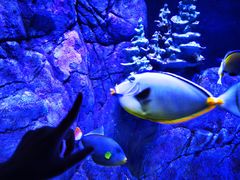 -成都浩海立方海洋公园