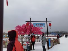 -绿野森林乐园冰雪季