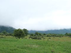 -石棉县孟获城