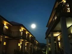 -珊瑚岛