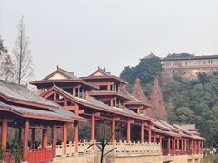 -重庆彩云湖湿地公园