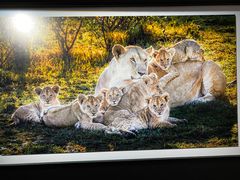 -罗红摄影艺术馆