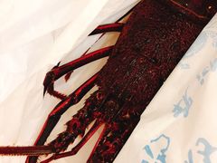 -海儀美食楼(湾仔海鲜街店)