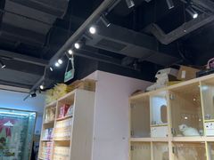 -爪爪喵星球·猫舍(卓悦中心店)