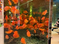 -怡咖啡海鲜自助餐厅(浦东香格里拉店)