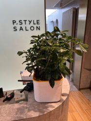 -P.STYLE 派斯造型