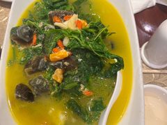 上汤桑叶-金龙寨(解西店)