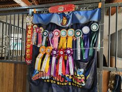 -北京群众马术培训基地