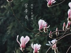 -东华门大街小区