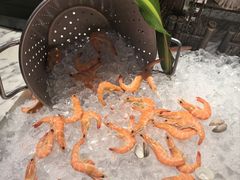 -沈阳和平艾美酒店新食谱西餐厅