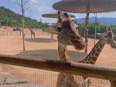 -杭州野生动物世界