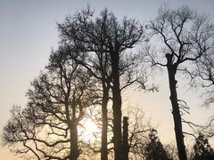 -乌石村