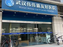 -伟伟宠物医院·瑞派猫友好医院·猫科(光谷店)