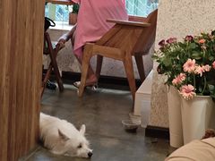 -绿房子方寸咖啡(星海名城店)