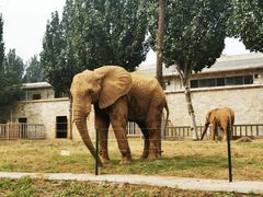 -石家庄市动物园