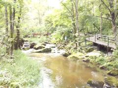 -茅兰沟国家森林公园