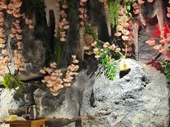 -青藤汗蒸时代会所