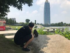 -桐乡凤凰湖