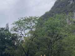 -柳州白莲洞洞穴科学博物馆